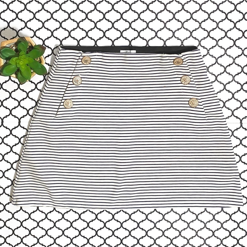 Zara striped Mini